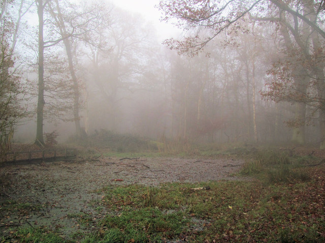 A Misty December day at Clickmere Pond Ashridge (2010)
