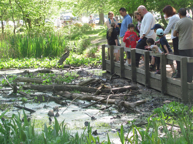 Crowds of Visitors at Clickmere Pond, Ashridge, Easter 2011