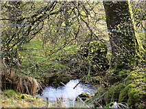 O0814 : Cransillagh Brook heads through Kippure lands to Liffey by jwd