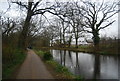 Basingstoke Canal