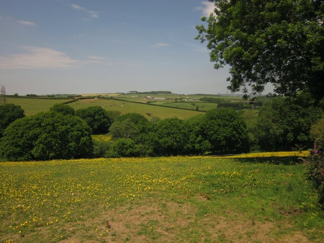 Field near Glebelands