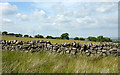 Dry stone wall with field beyond