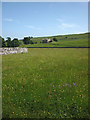 Hay meadow and Aldbrough House near Bainbridge