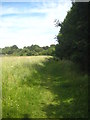 Footpath along the edge of the field