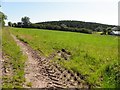 Golan Townland