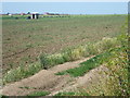 Farm workers near Cliffe