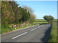 Bend in the road on the B3262 near Greystone Cottage