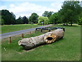 Carved tree trunk in Fishponds Park
