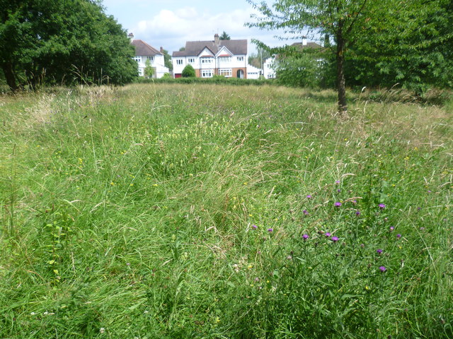 Hay meadow in Fishponds Park