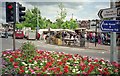 Traffic lights, flowers and market in Salisbury