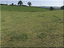 W5260 : Green Irish fields by Neville Goodman