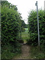 Footpath to Beech Bottom