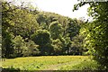 A field by Ashway Hat Wood