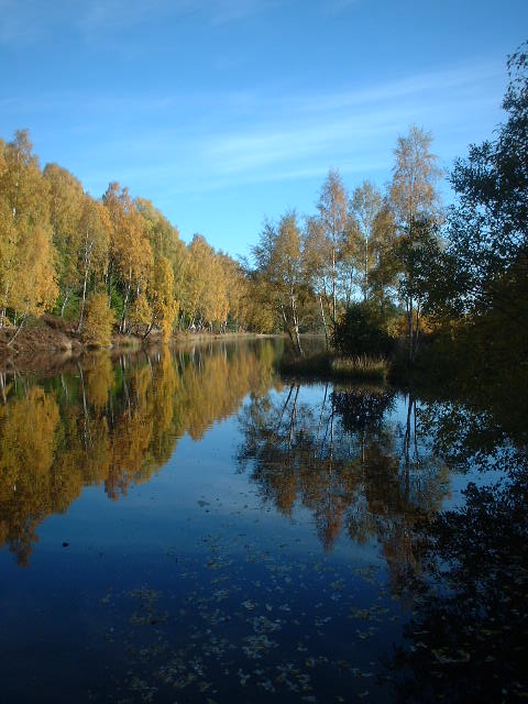 Autumn, Lochanhully