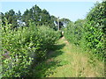 Footpath to Dryhill Lane