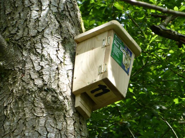 Bat box No. 11, Mullaghmore © Kenneth Allen :: Geograph Ireland