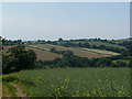 Grass cutting in rural Herefordshire