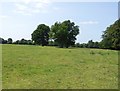 Field near Westall House