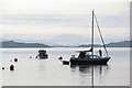 NR7894 : Moored yacht at Crinan Harbour by Patrick Mackie