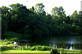 Black Loch, Carsie, near Blairgowrie