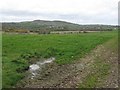 Farmland north of the Bronte Interpretation Centre