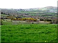 Bog land between Church Hill and Knockiveagh