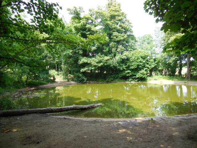 Lot's Pond