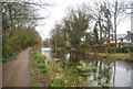 Basingstoke Canal