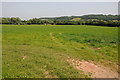 Grazing land at Suckley Green