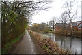 Basingstoke Canal