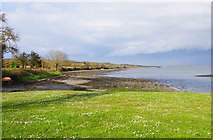 Q9254 : Grassed area by the car park at Querrin Point, Co. Clare by P L Chadwick