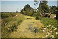 Grantham Canal