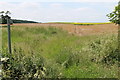 Footpath off Bluestone Heath Road