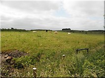 H5774 : Mullaghslin Glebe Townland by Kenneth  Allen