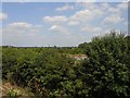 Binley-Warwickshire Shopping Park