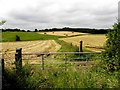 Aghnagreggan Townland