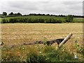 Aghnagreggan Townland