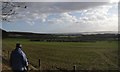 Farmland near Welton