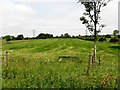 Clare Townland