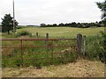 Rusty gate, Clare