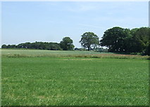SK0902 : Farmland east off Wood Lane by JThomas