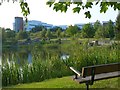 Water feature (2), Celtic Springs Business Park