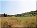 The Pitch, Whitehawk