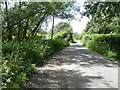 Looking west-northwest along Small Bridge Road