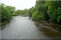 W1042 : River Ilen by Graham Horn