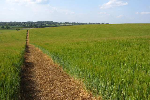 Footpath to Swanbourne