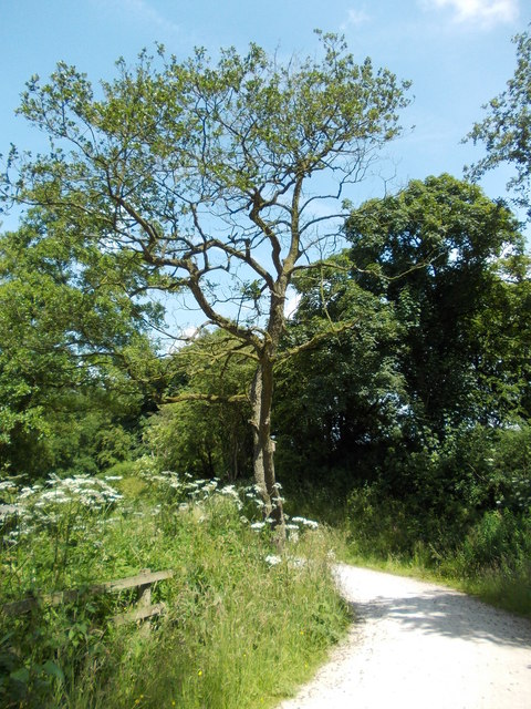 Path bends around inlet of Carsington Water