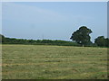 Farmland, Bellamour