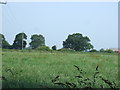 Farmland, Rookery Farm