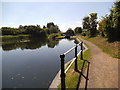 Swan Bridge View